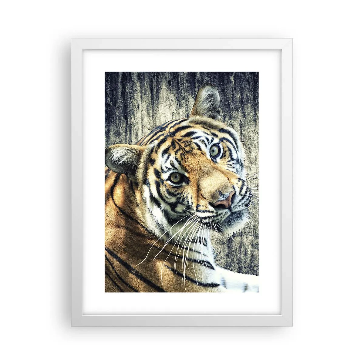 Affisch i vit ram - Porträtt i ljusstrålar - 30x40 cm