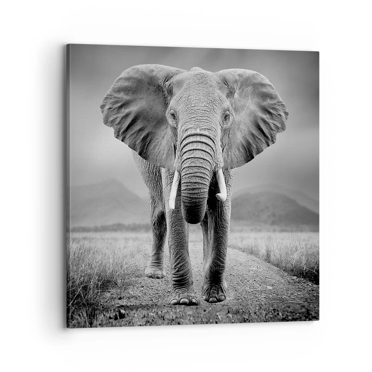 Canvastavla - Bild på duk - Värden hälsar välkommen - 70x70 cm