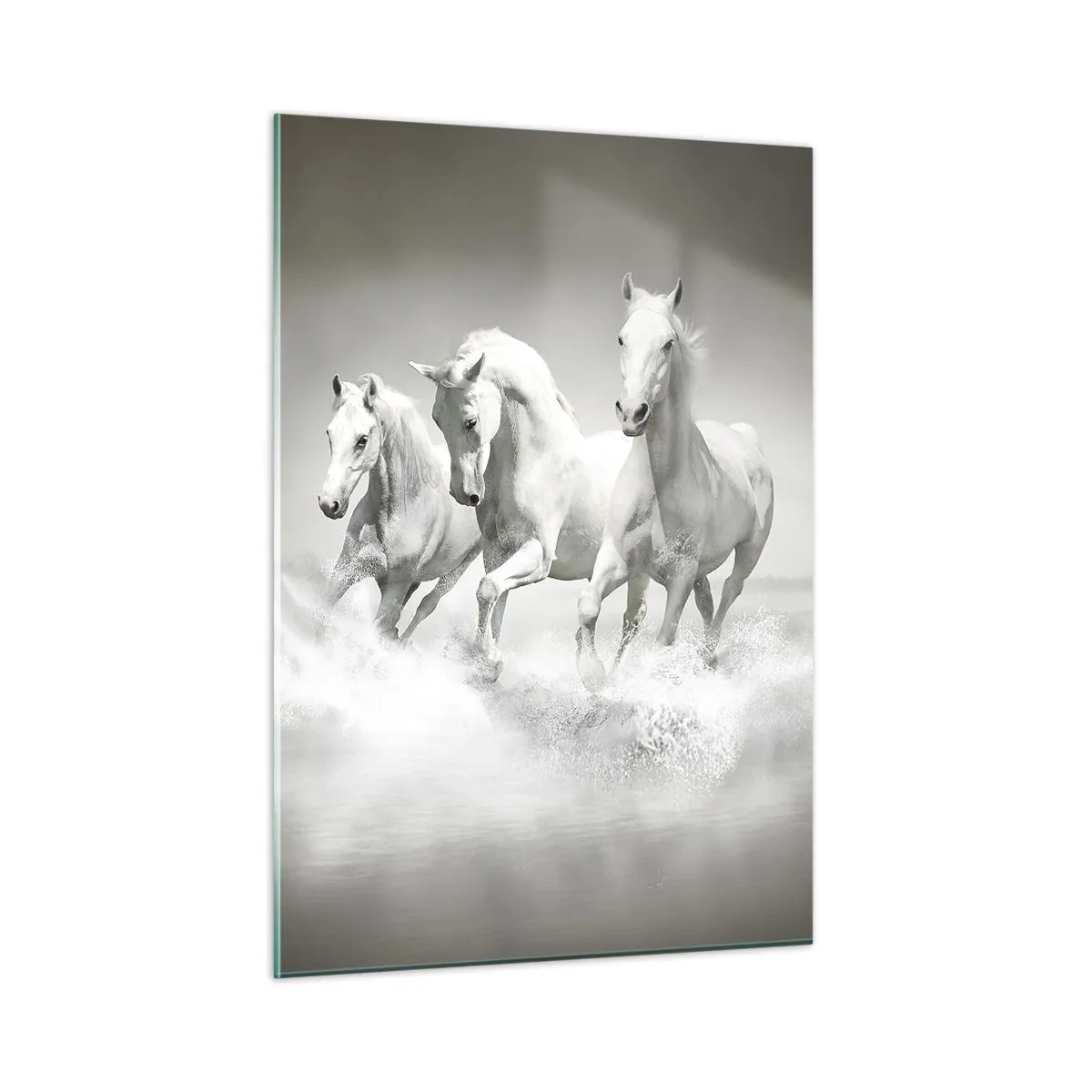 Glastavla - Bild på glas - Vit vildhet - 50x70 cm