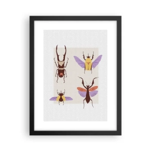 Affisch i svart ram - Insektsvärlden - 30x40 cm