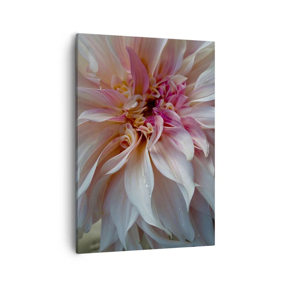 Canvastavla - Bild på duk - Blommande friskhet - 50x70 cm