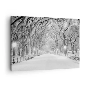 Canvastavla - Bild på duk - En vintergränd med snötäckta träd i monokrom - 70x50cm - De fyra årstiderna - vinter - Modern väggdekoration för vardagsrum och sovrum ARTTOR