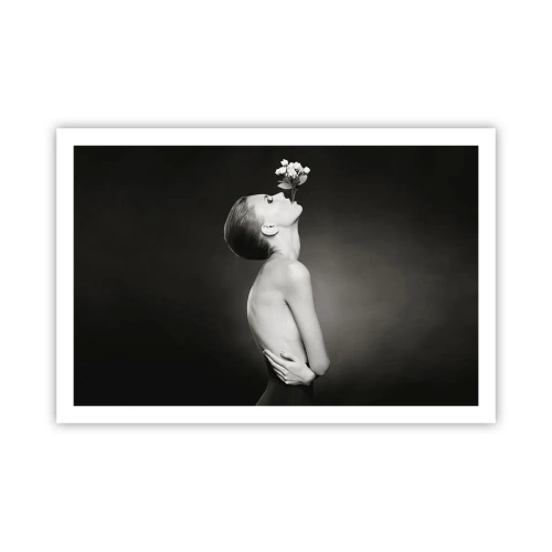 Affisch - Excentrisk elegans - 91x61 cm