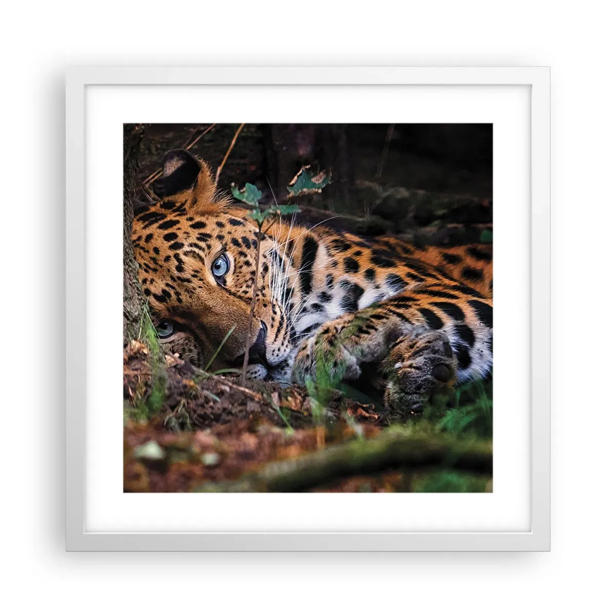 Affisch i vit ram - Tro mig - 40x40 cm