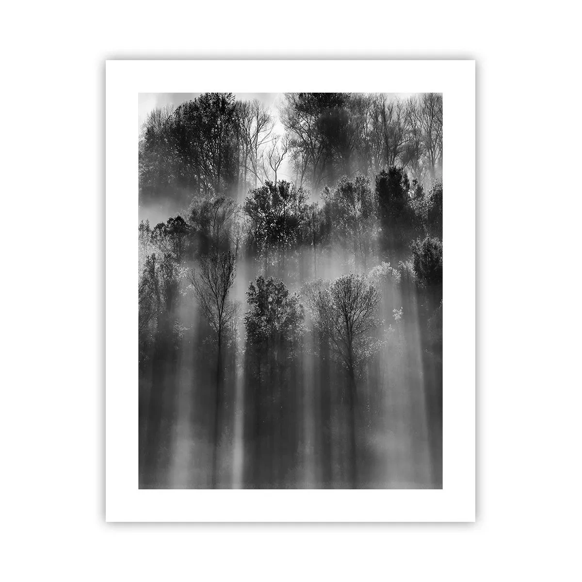 Affisch - I ljusstrålar - 40x50 cm