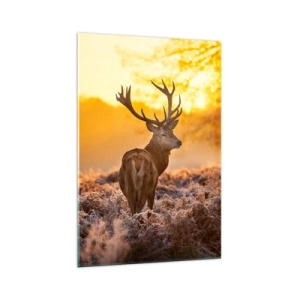 Glastavla - Bild på glas - Höstskogens kung - 70x100 cm