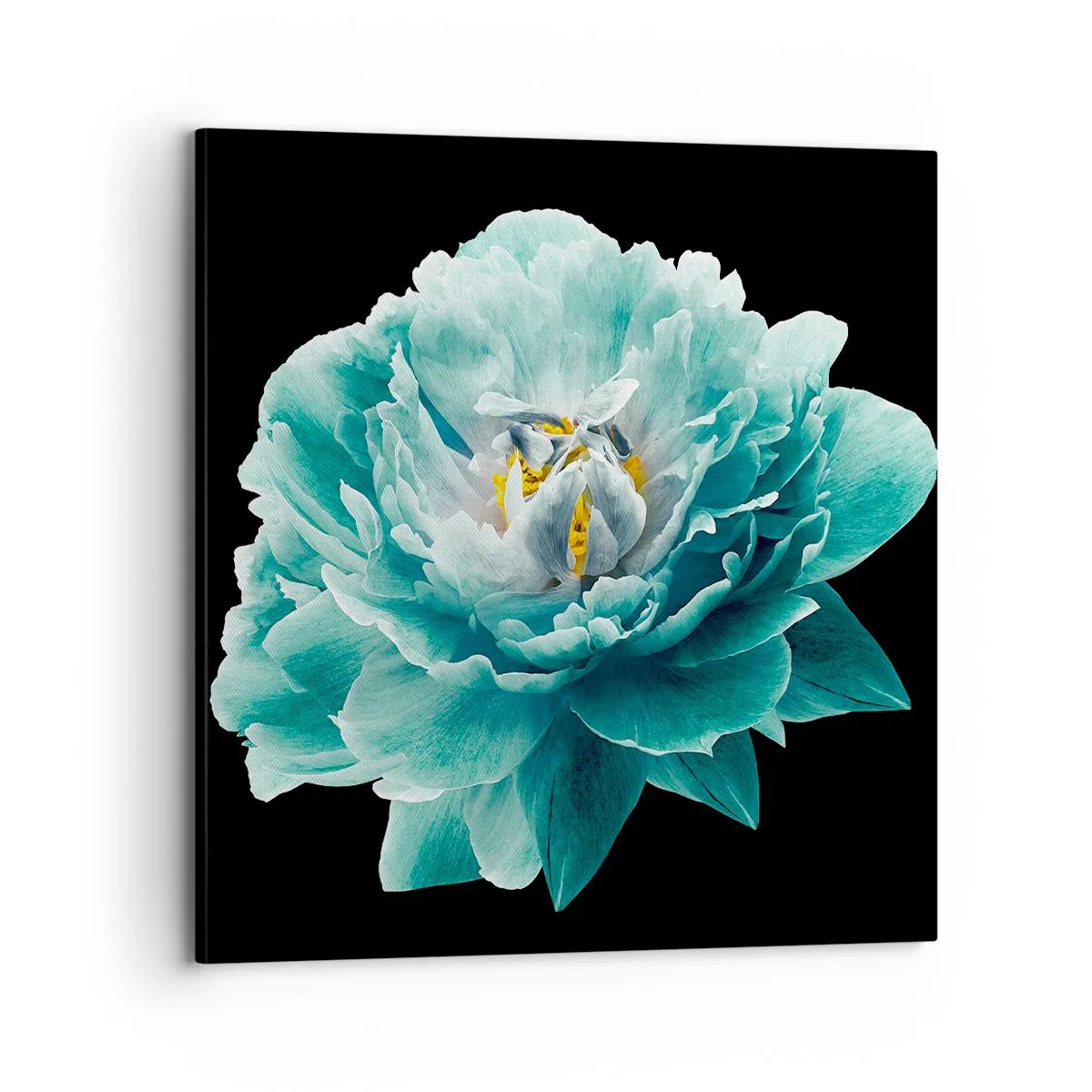 Canvastavla - Bild på duk - Blå och gyllene kronblad - 70x70 cm