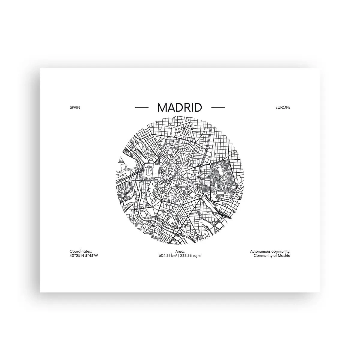 Affisch - Madrids anatomi - 50x40 cm