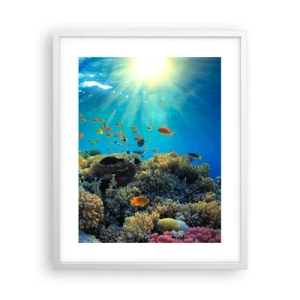 Affisch i vit ram - Undervatenskatter - 40x50 cm