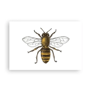 Affisch - Vackert och bra - 91x61 cm