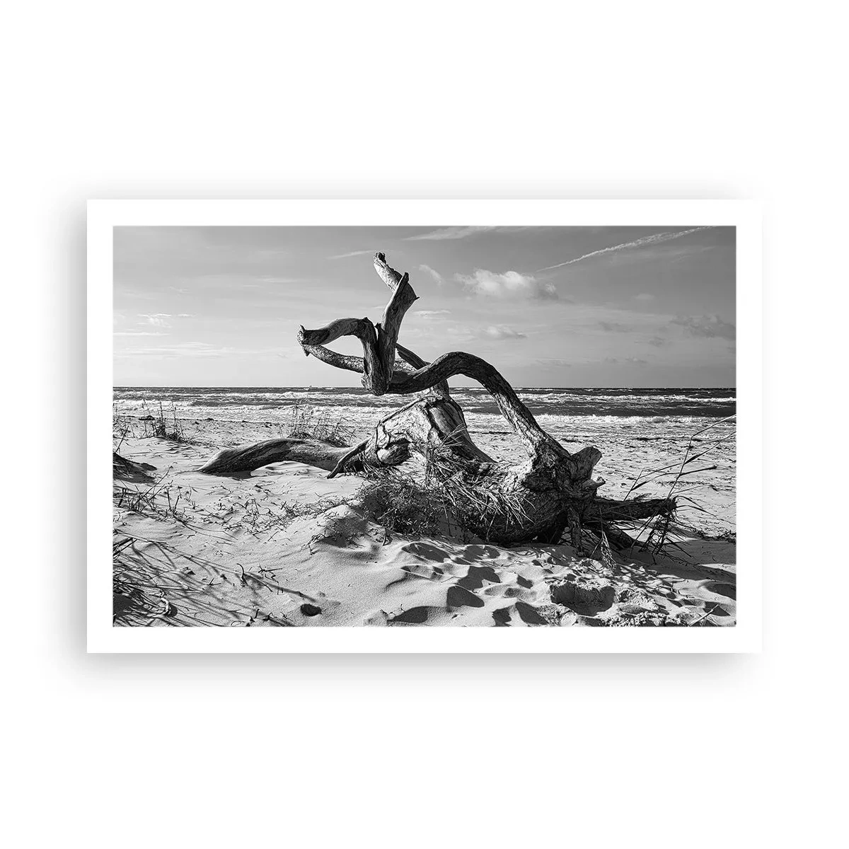 Affisch - Havets skulptur - 91x61 cm