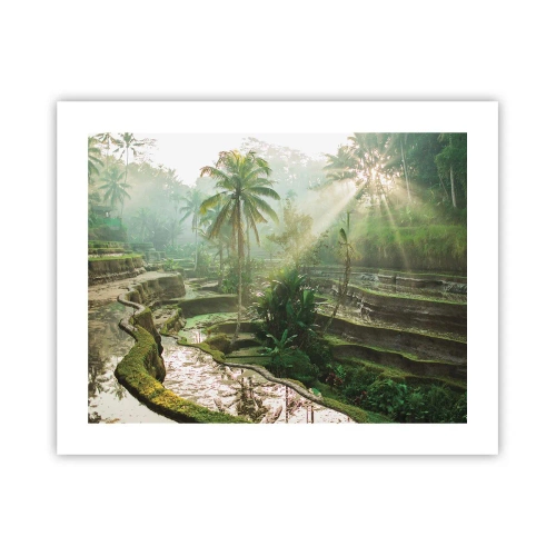 Affisch - Växa upp i solsken - 50x40 cm