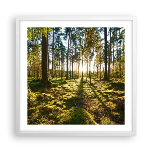 Affisch i vit ram - ...Bortom sjunde skogen - 50x50 cm