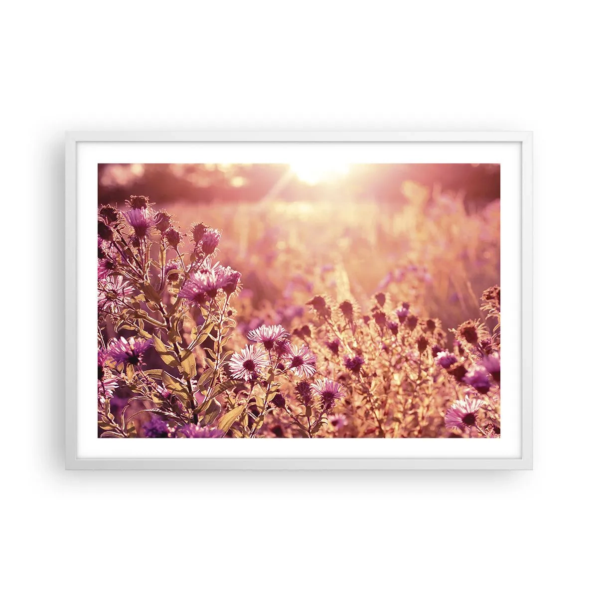 Affisch i vit ram - Innan sommaren går bort - 70x50 cm