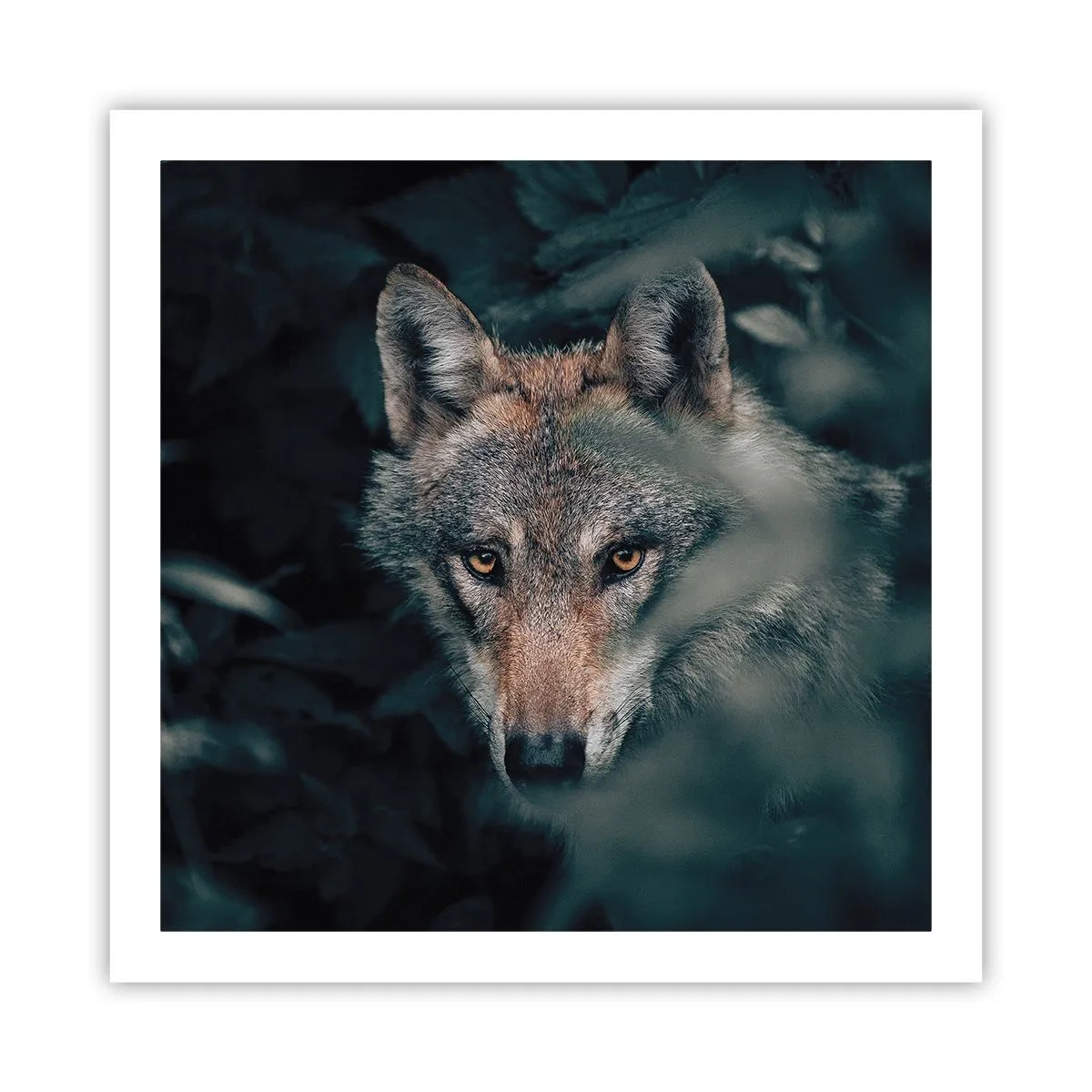 Affisch - Jägare - 60x60 cm