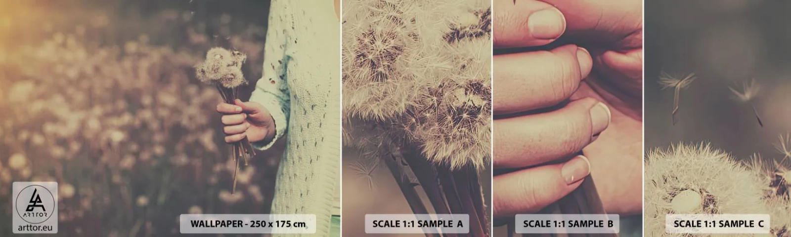 Provbit av självhäftande fototapet Deluxe Sticker - Behåll dem - Maskros, Äng, Natur - 100x30 cm