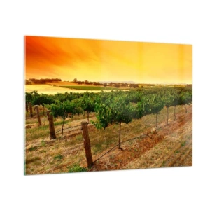 Glastavla - Bild på glas - Dricka solen - 100x70 cm
