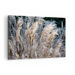 Canvastavla - Bild på duk - Frostprydda - 120x80 cm