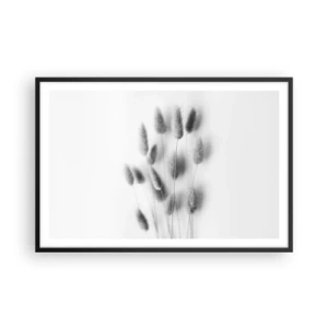 Affisch i svart ram - Fluffigt gräs - 91x61 cm