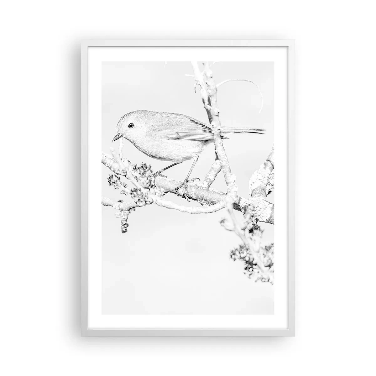 Affisch i vit ram - Vintermorgon - 50x70 cm