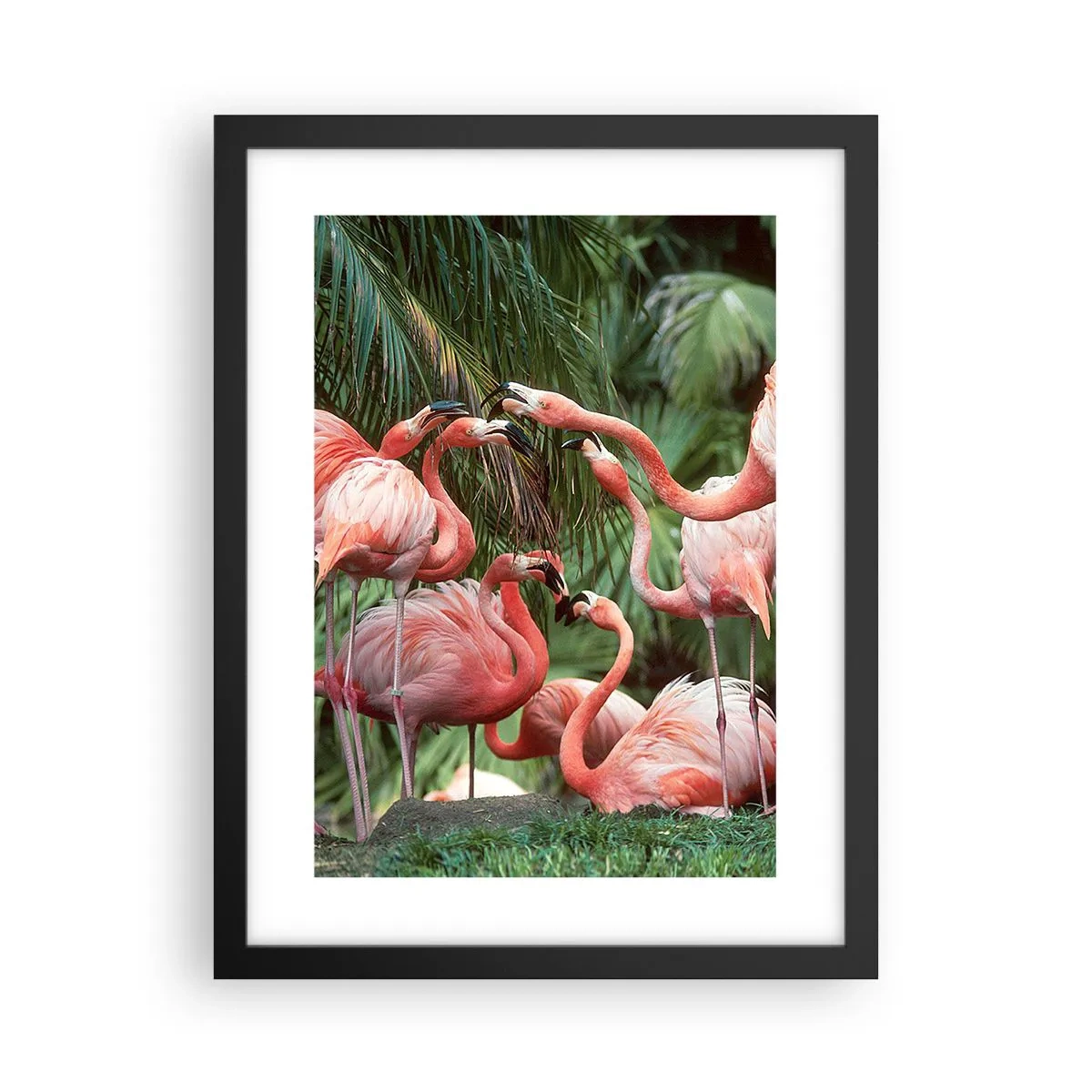 Affisch i svart ram - Eftermiddags skvaller - 30x40 cm