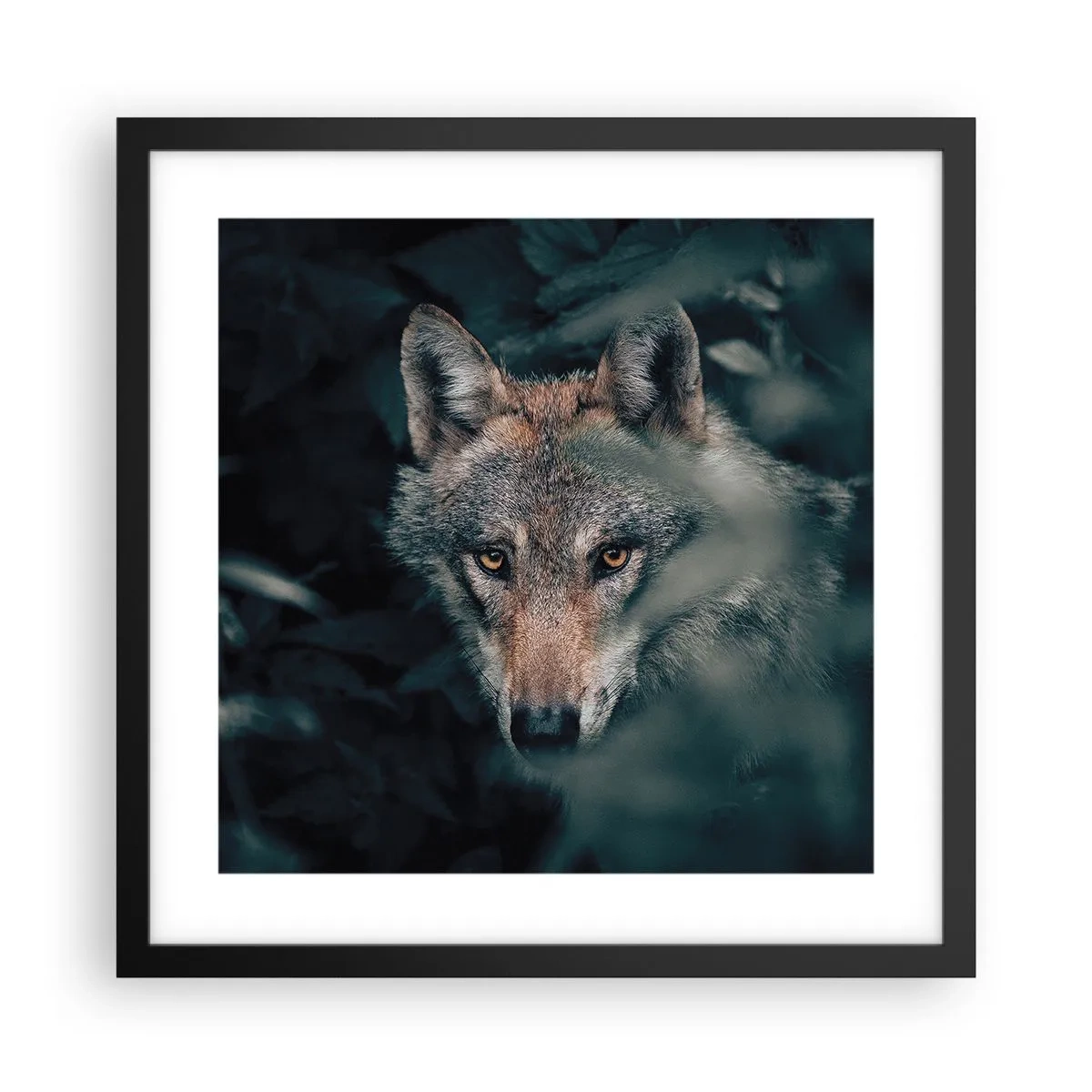 Affisch i svart ram - Jägare - 40x40 cm