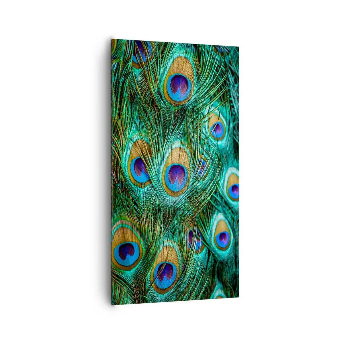 Canvastavla - Bild på duk - Påfågels blick - 65x120 cm