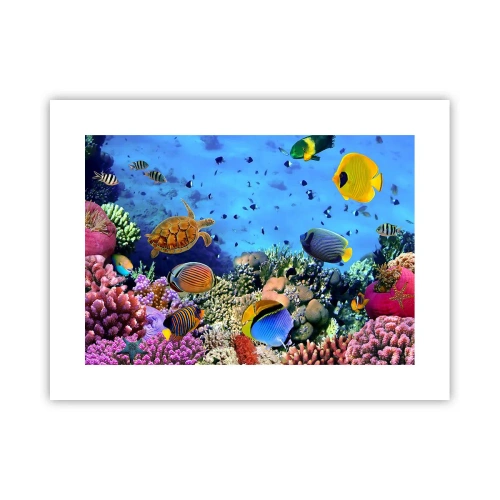 Affisch - Vad vet vi om livet... - 40x30 cm