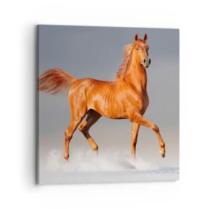 Canvastavla - Bild på duk - Dansande grace - 70x70 cm