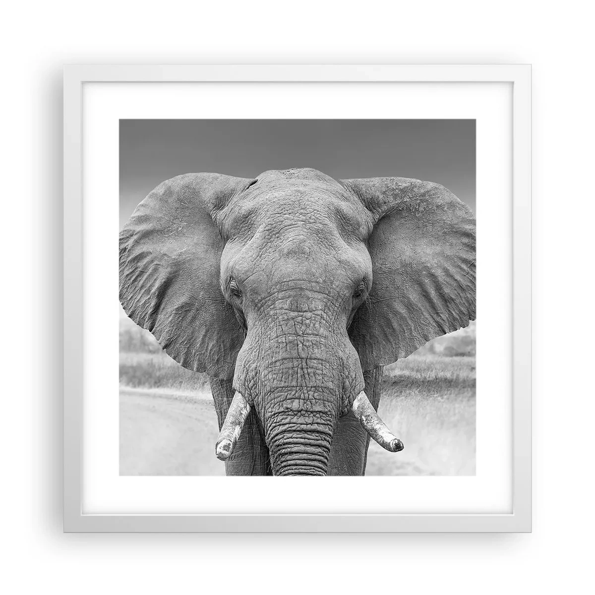 Affisch i vit ram - Välkommen till min värld - 40x40 cm