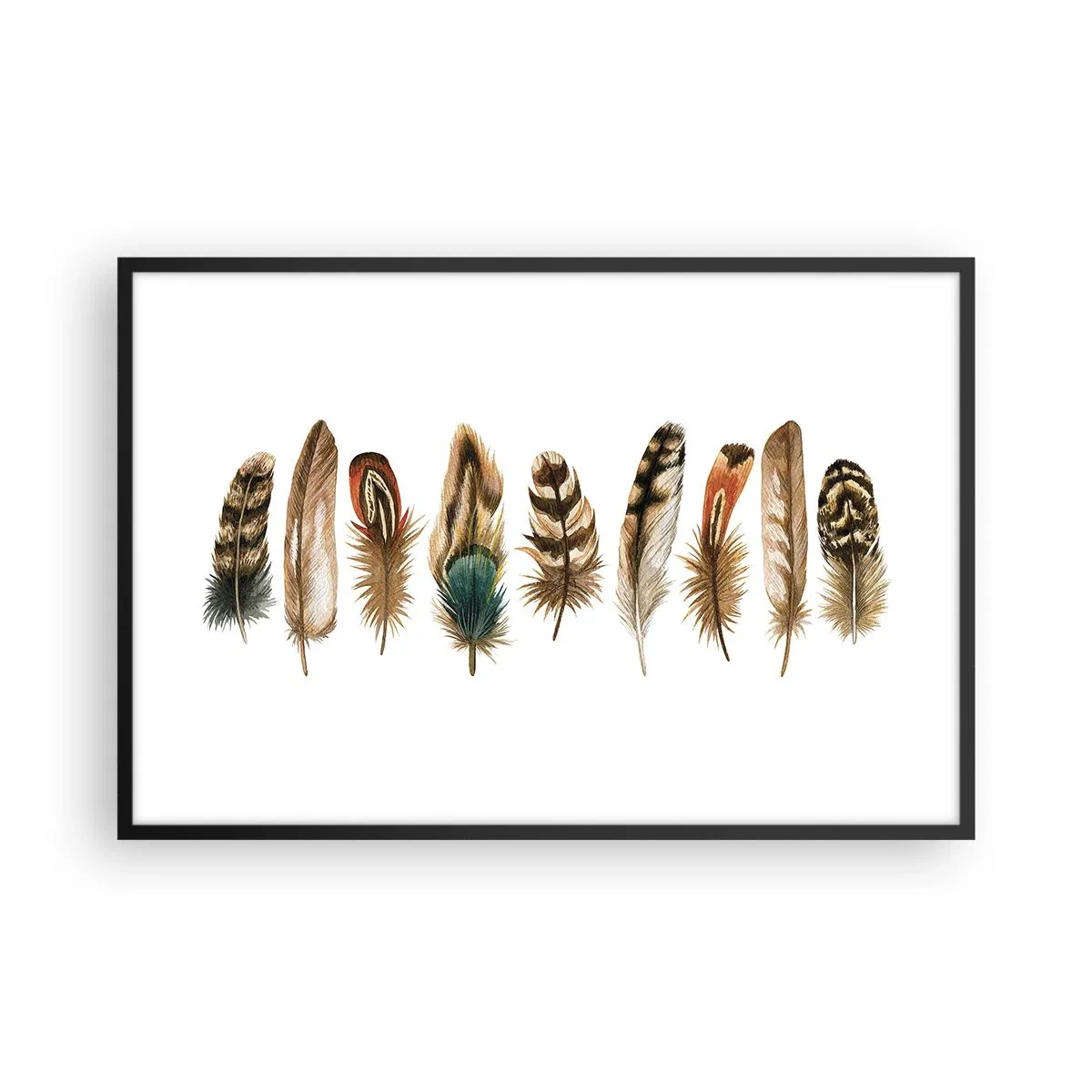 Affisch i svart ram - Fjädervariation - 91x61 cm