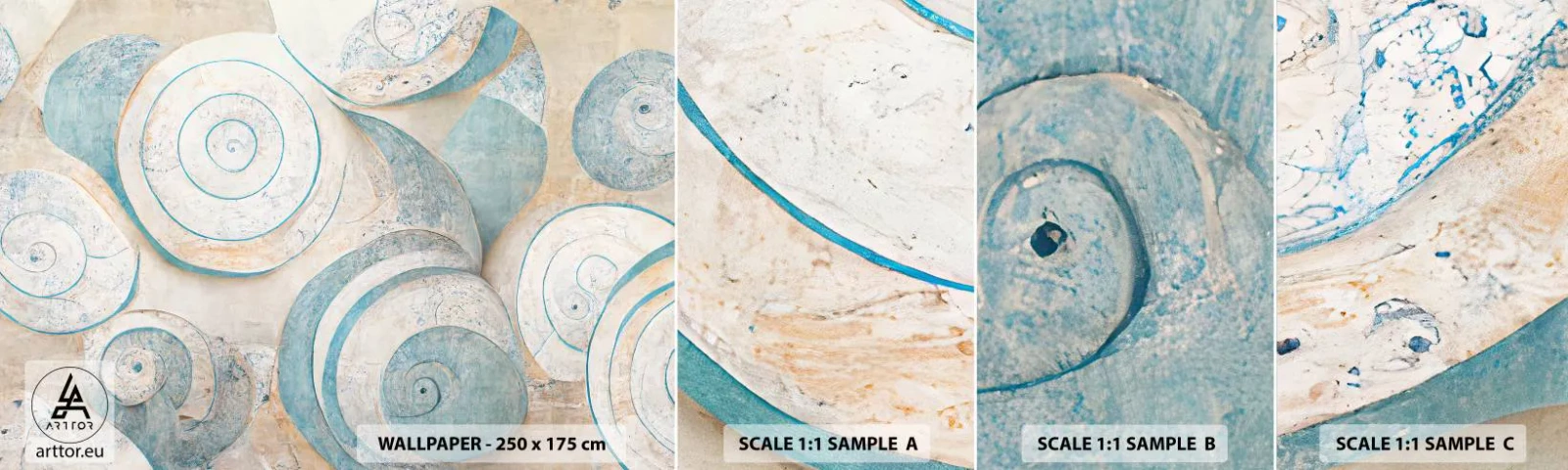 Fototapet Prov Standard Eco - Vad döljer musslan? - Minimalism, Skal, Ljus - 100x30 cm