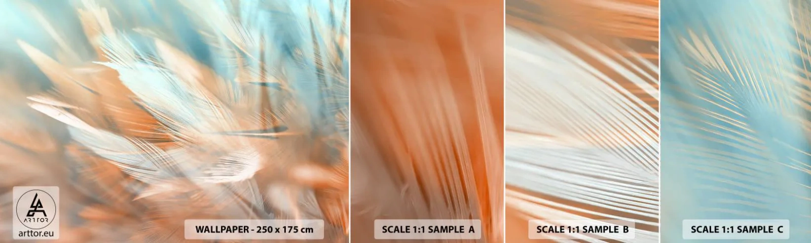 Fototapet Prov Standard Eco - I mildhetens land - Delikat, Fjädrar, Minimalism - 100x30 cm