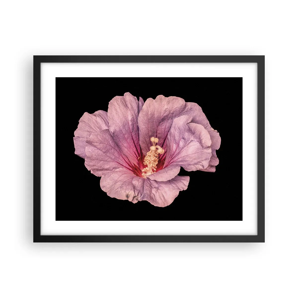 Affisch i svart ram - Rakt till hjärtat - 50x40 cm