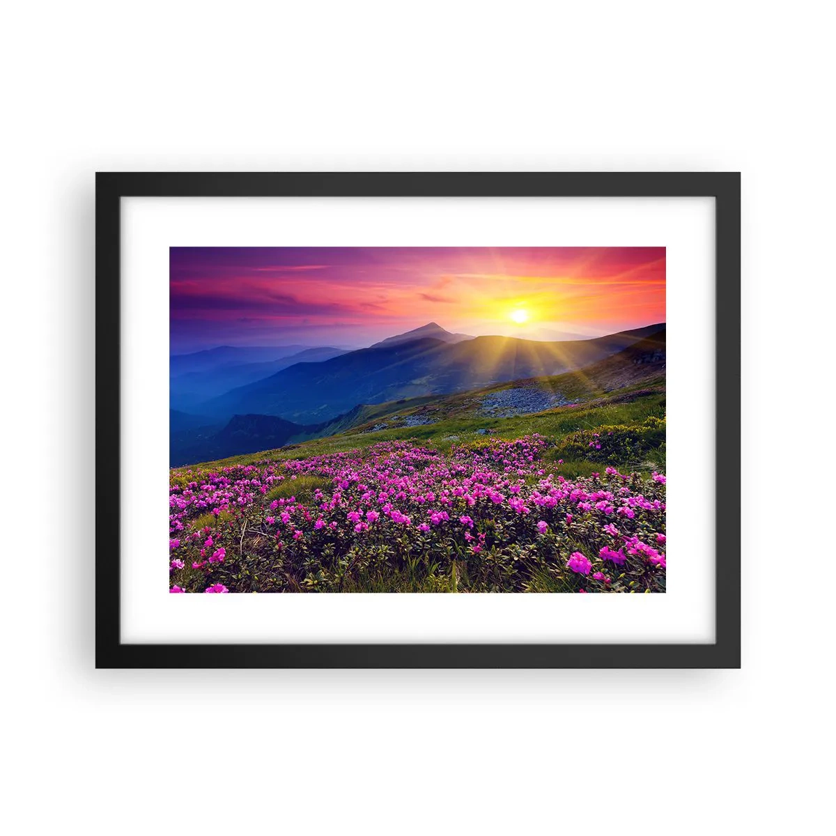 Affisch i svart ram - … Bergtallen doftar och örterna luktar runt omkring - 40x30 cm