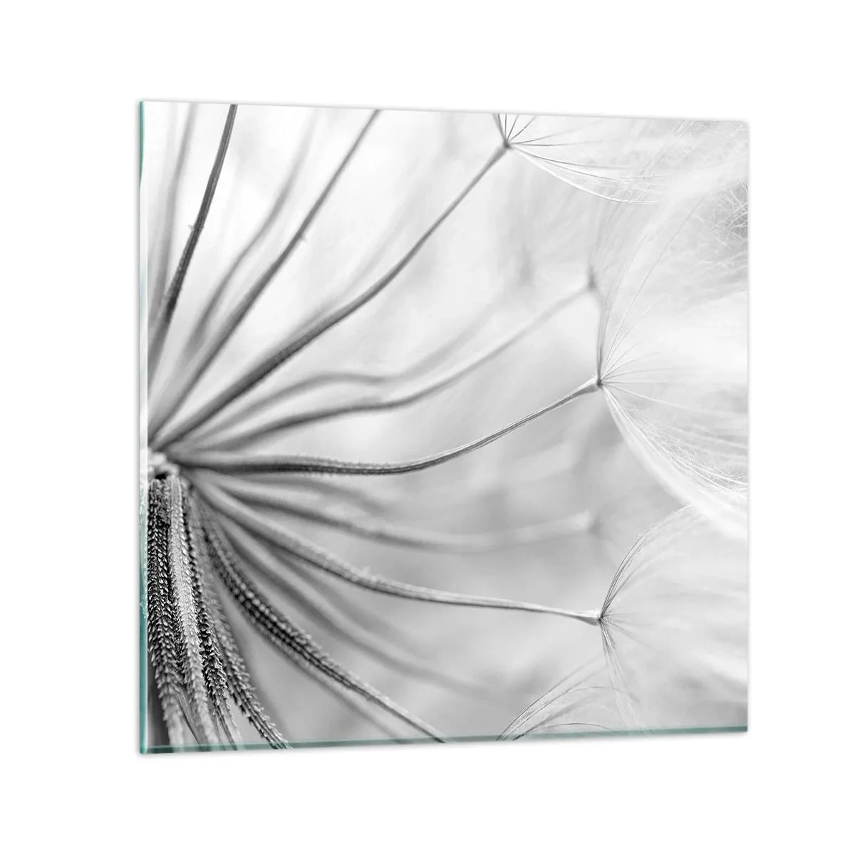 Glastavla - Bild på glas - Blåsande, flygande drakar - 60x60 cm