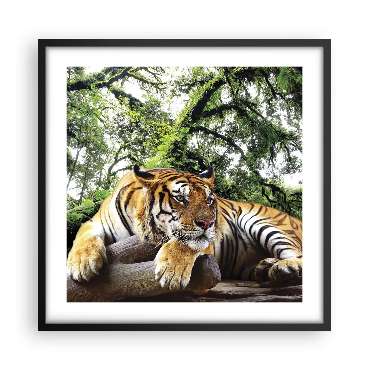 Affisch i svart ram - Med vänlig hälsning - 50x50 cm