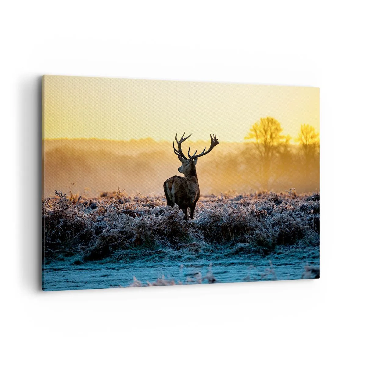 Canvastavla - Bild på duk - Krönt på sin mark - 100x70 cm