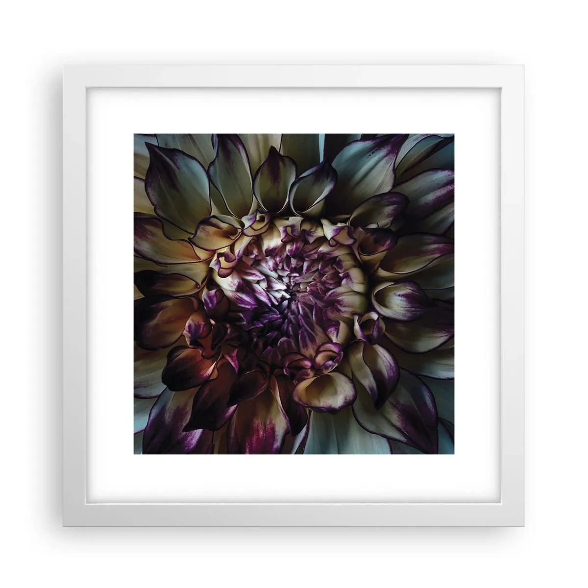 Affisch i vit ram - Blommande ungdom - 30x30 cm