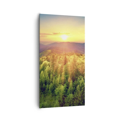 Canvastavla - Bild på duk - Trädtoppar och bergstoppar - 65x120 cm