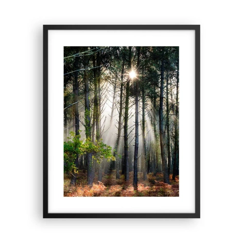Affisch i svart ram - Skogens skönhet - 40x50 cm