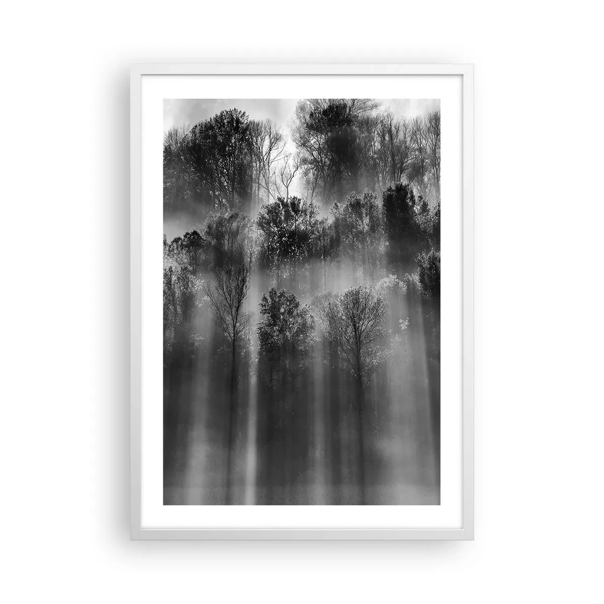 Affisch i vit ram - I ljusstrålar - 50x70 cm