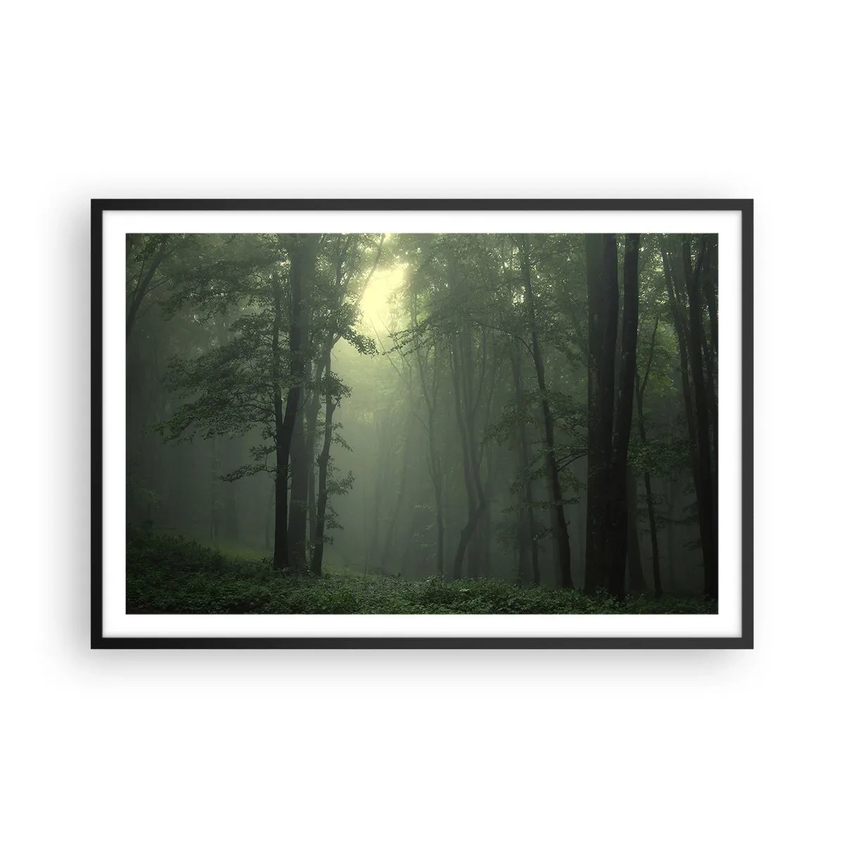 Affisch i svart ram - Innan skogen vaknar - 91x61 cm