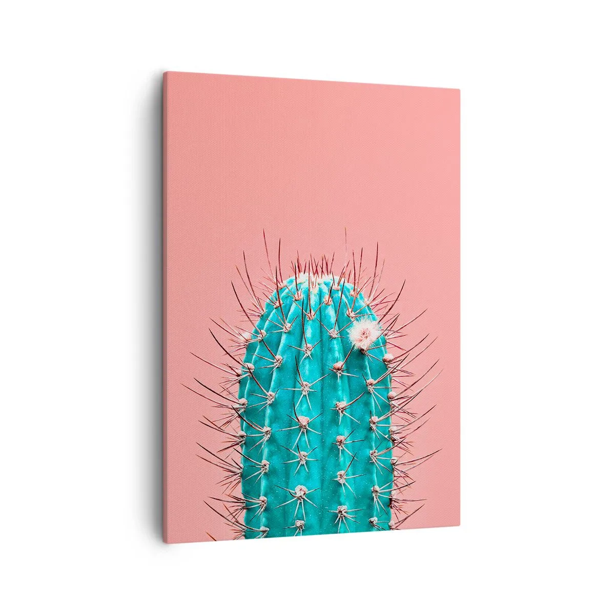 Canvastavla - Bild på duk - Titta bara - 50x70 cm