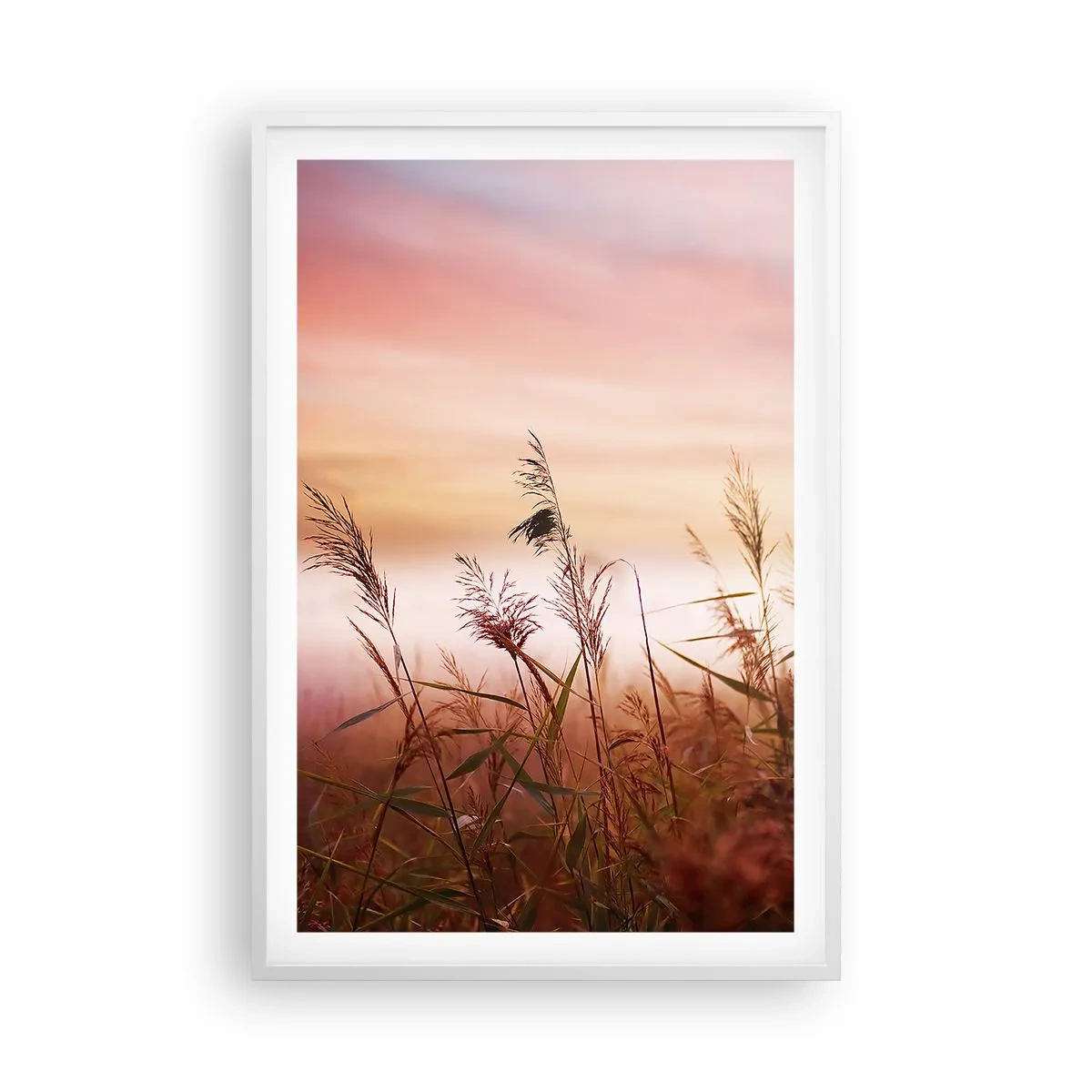 Affisch i vit ram - Drakar, maskrosor, vind - 61x91 cm