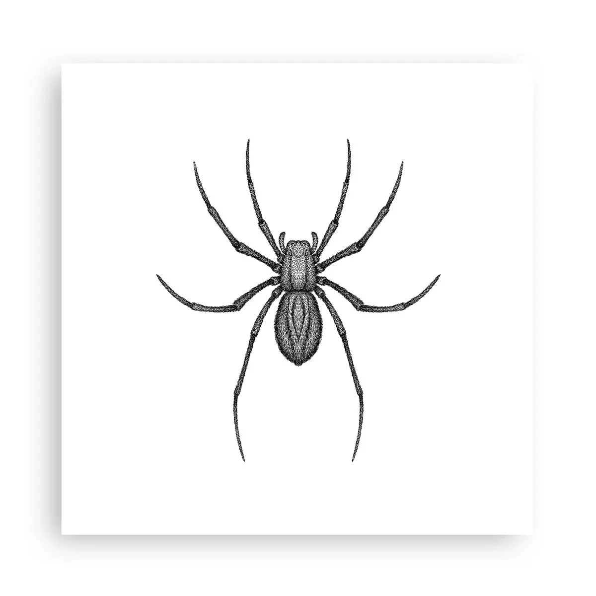 Affisch - Oroväckande precision - 30x30 cm