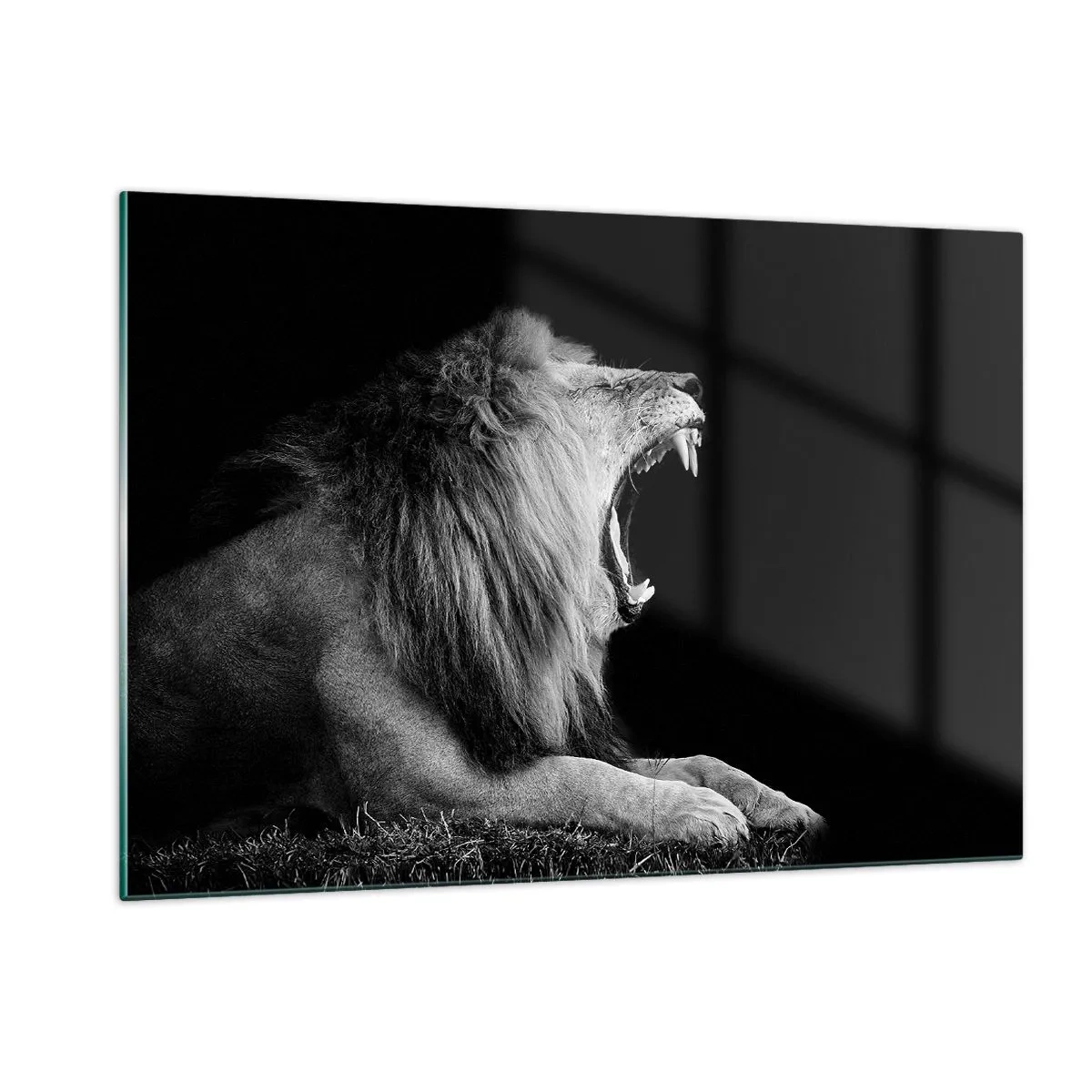 Glastavla - Bild på glas - Utan någon tvekan - 120x80 cm