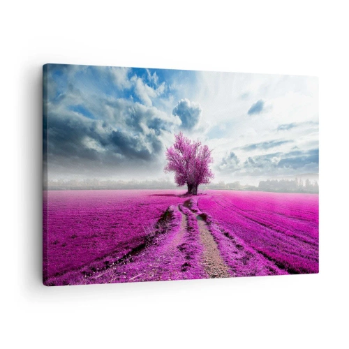 Canvastavla - Bild på duk - Ett ensamt träd i ett fält i en nyans av intensivt rosa - 70x50cm - Ljunghed - Modern väggdekoration för vardagsrum och sovrum ARTTOR