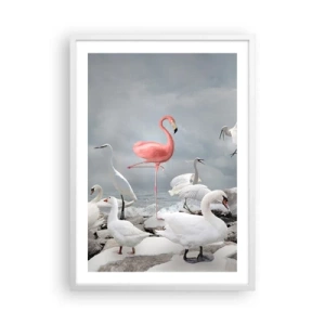 Affisch i vit ram - Hur har jag hamnat här? - 50x70 cm