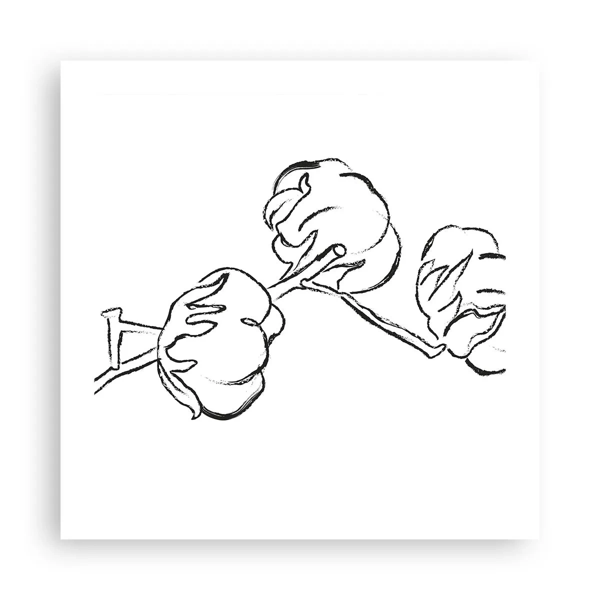 Affisch - Bomullsdun - 50x50 cm